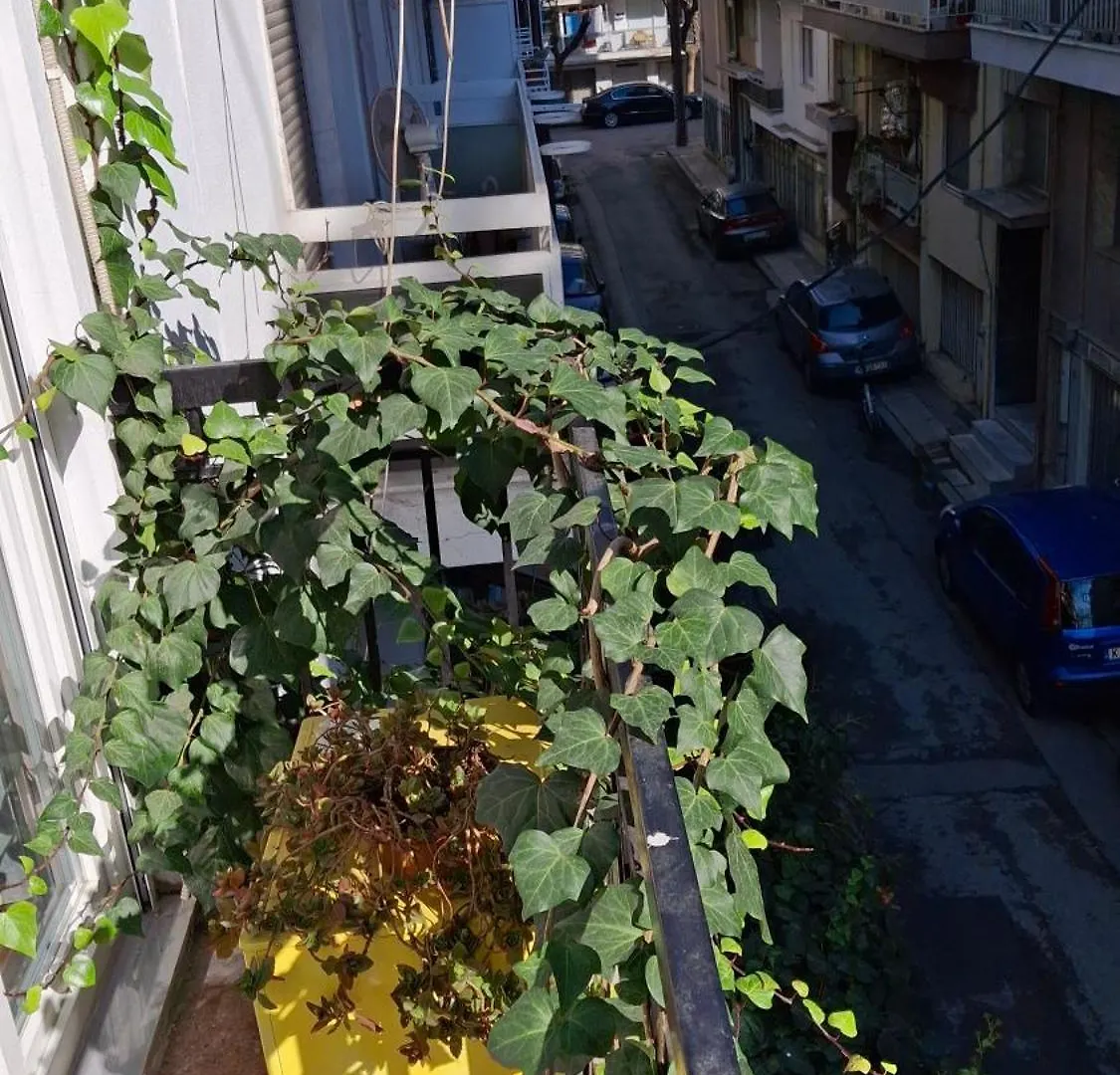 Anna House Apartment Thessaloniki